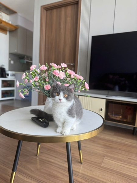 BÁN CĂN HỘ ECO GREEN 2 PHÒNG NGỦ 66M2 GIÁ TỐT VIEW ĐẸP