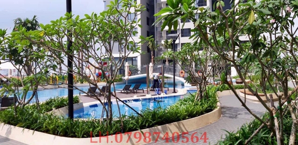 CHO THUÊ CĂN HỘ CHUNG CƯ RIVIERA POINT