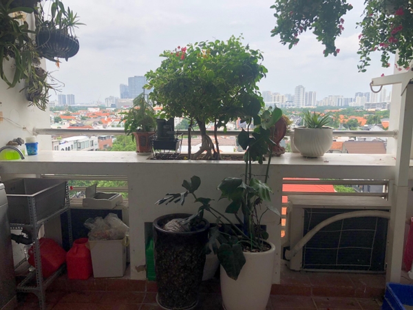 BÁN CĂN HỘ CHUNG CƯ PARKVIEW