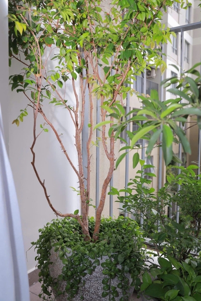 CHO THUÊ CĂN HỘ CHUNG CƯ MASTERI THẢO ĐIỀN