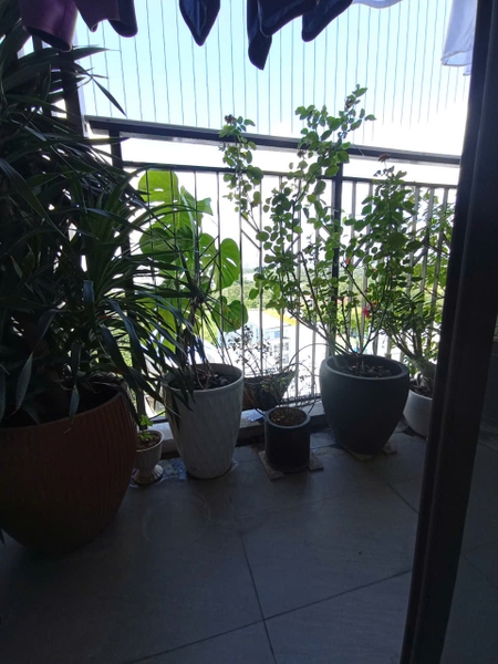 BÁN CĂN HỘ CHUNG CƯ SAIGON SOUTH