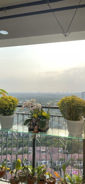 BÁN CĂN HỘ NHÀ ĐẸP CHUNG CƯ SAIGON SOUTH