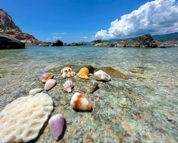 Vĩnh Hy - vịnh biển hoang sơ đẹp mê mẩn lòng người