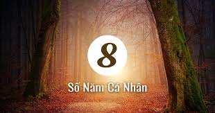 Năm cá nhân số 8 là gì? Vì sao được gọi là năm “thu hoạch”