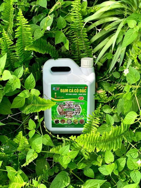 Sự khác biệt giữa Đạm cá SBC can 5 lít và 20 lít