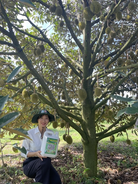 Đạm cá SBC có dùng trong chăn nuôi được không?