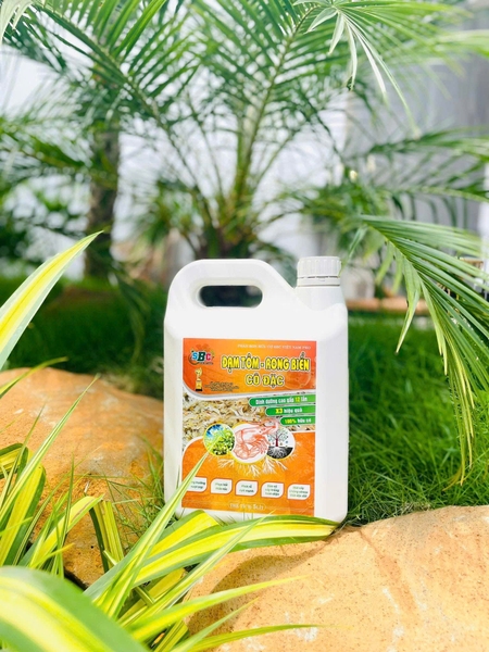 Chitosan có tác dụng gì?