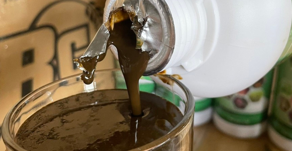 TẠI SAO ĐẠM CÁ NGÀY CÀNG ĐƯỢC ƯA CHUỘNG?