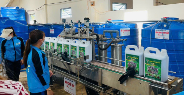 Đạm cá SBC có gì đặc biệt?