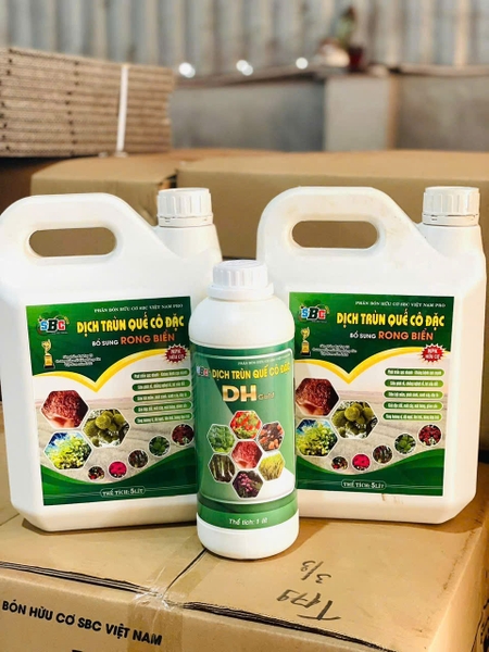 Cách bón  DỊCH TRÙN QUẾ RONG BIỂN SBC cho rau màu