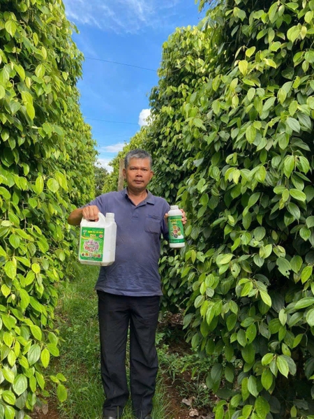 ĐẠM CÁ SBC có gì bên trong?