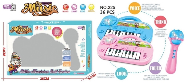 225  HỘP ĐÀN ORGAN PIN + MICRO