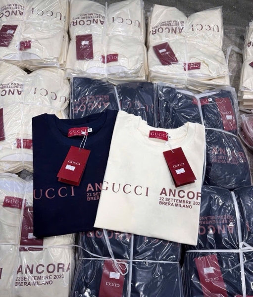 ÁO PHÔNG TEE CỘC TAY 2 MÀU NỮ