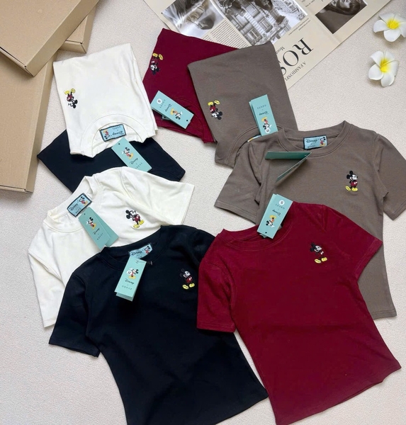 SET 2 ÁO ZIP MICKEY BABYTEE NỮ