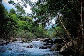 TOUR 3 - Vườn quốc gia Tam Đảo– Khu rừng sinh thái