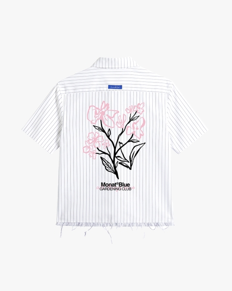 Áo sơ mi Rose Stripe
