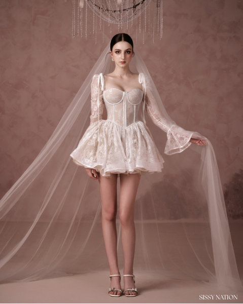 Clover Lacey Corset Mini Dress