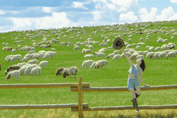 Du lịch Nội Mông và những điều nhất định cần biết