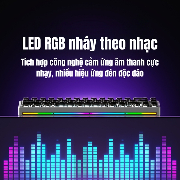 Bàn phím cơ WEIKAV NUT65 – Khung nhôm CNC, 65% Layout, PCB 1.6mm Non-Flex, Gasket Mount, LED RGB, VIA APP, 3 Mode, Hotswap, Pin 6000mAh