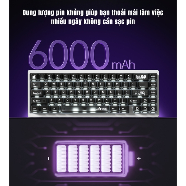 Bàn phím cơ WEIKAV NUT65 – Khung nhôm CNC, 65% Layout, PCB 1.6mm Non-Flex, Gasket Mount, LED RGB, VIA APP, 3 Mode, Hotswap, Pin 6000mAh