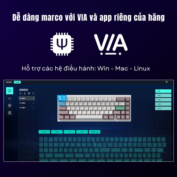 Bàn phím cơ WEIKAV NUT65 – Khung nhôm CNC, 65% Layout, PCB 1.6mm Non-Flex, Gasket Mount, LED RGB, VIA APP, 3 Mode, Hotswap, Pin 6000mAh