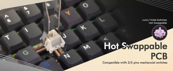 [ SẴN HÀNG] Bàn Phím Cơ WOB Zen65 Limited – PCB 1.6mm, Plate Aluminum, RGB, 3 Mode