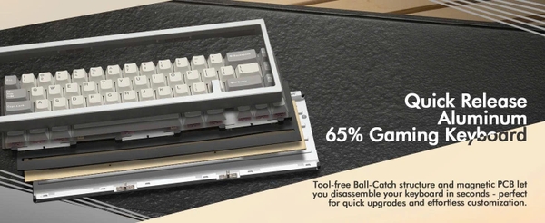 [ SẴN HÀNG] Bàn Phím Cơ WOB Zen65 Limited – PCB 1.6mm, Plate Aluminum, RGB, 3 Mode