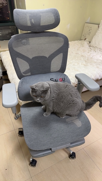 [PRE ORDER] Ghế Công Thái Học  Saigu L6  | L8 – Khung Hợp Kim Nhôm Hàng Không, Tay Vịn 720°, Lưới Cloud Kháng Khuẩn, Có Gác Chân