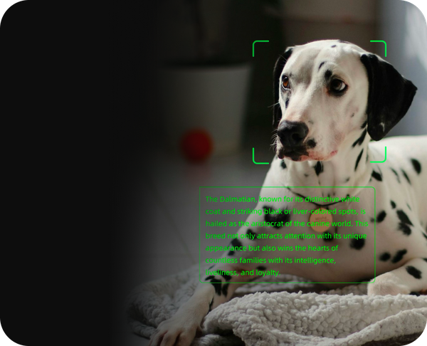 Kính thông minh AI&AR Rokid Glasses