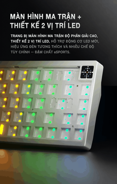 Bàn phím từ tính PMO GAME SHENLIN GL68 | Rapid Trigger 0,001mm | 8K | RGB
