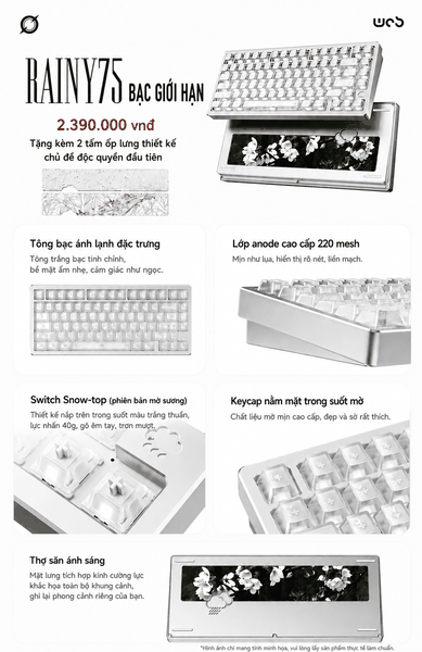 Bàn Phím Cơ Rainy75 Bạc Giới Hạn – Anode 220 Mesh Cao Cấp | Switch Snow-top | Keycap Mờ Trong Suốt