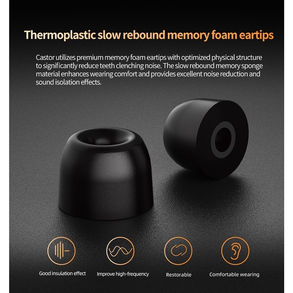 Tai nghe KZ Castor | 2 Driver Dynamic | 16 Kiểu tùy chỉnh âm thanh (Sliver/Black)