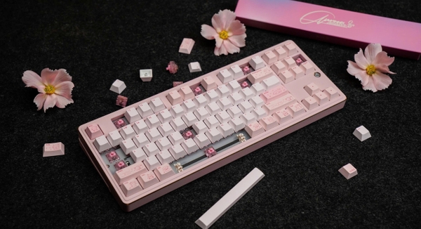 Bàn phím cơ PMO Aurora 80 – Nhôm CNC, 3 Chế Độ, Gasket Mount, Hotswap, RGB Aurora