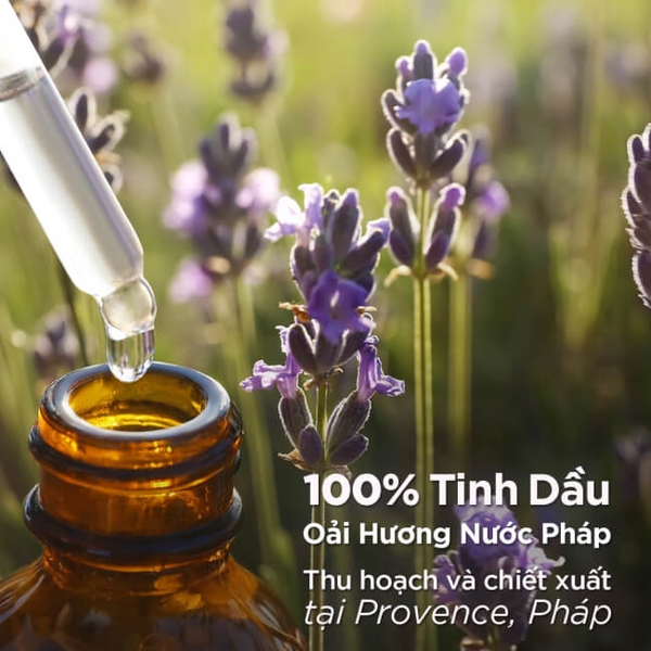 Nước xả vải Downy hương hoa Oải Hương nước Pháp