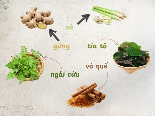 5 thảo mộc vàng giúp giữ ấm cơ thể vào mùa đông