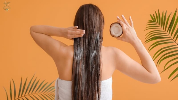 Chăm sóc tóc bằng dầu dừa nguyên chất