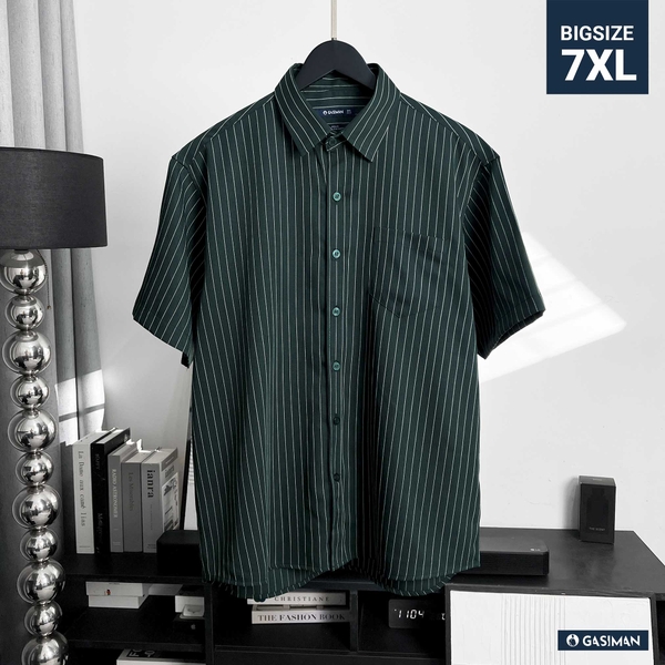 Áo Sơ Mi Bigsize Oxford Kẻ Sọc Xanh Rêu