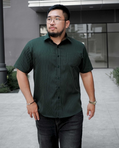 Áo Sơ Mi Bigsize Oxford Kẻ Sọc Xanh Rêu