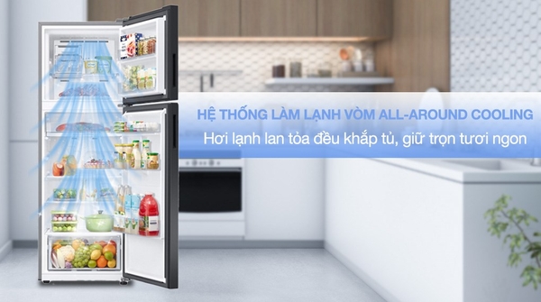 Tủ lạnh Samsung Inverter 460 lít Bespoke RT47CB66868ASV
