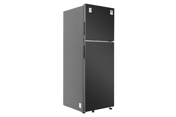 Tủ lạnh Samsung  RT35CG5424B1SV Inverter 348 lít