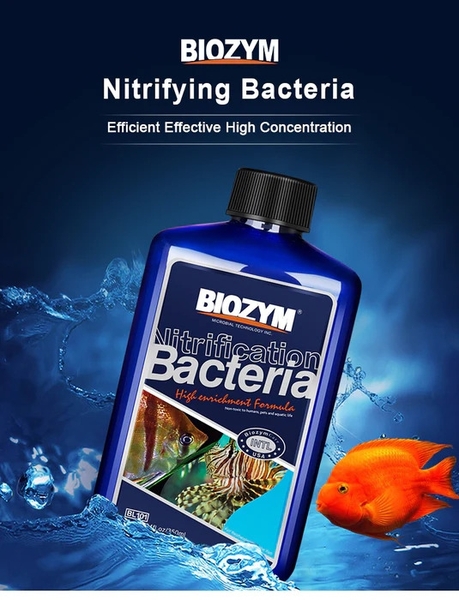 Vi sinh sống Biozym Nitrifying Bacteria cao cấp cho nước ngọt và nước mặn