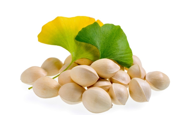 Quả Bạch – Nguyên Liệu Thảo Mộc Dân Gian Trong Đời Sống Truyền Thống