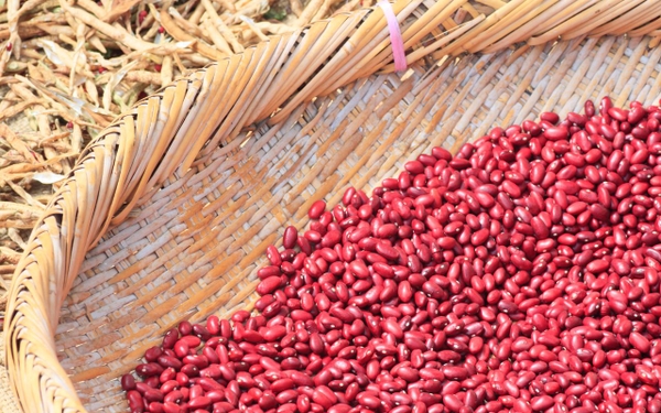 2 Muỗng Bột Ngũ Cốc Có Bao Nhiêu Calo? Cách Ước Tính & Dùng Hợp Lý