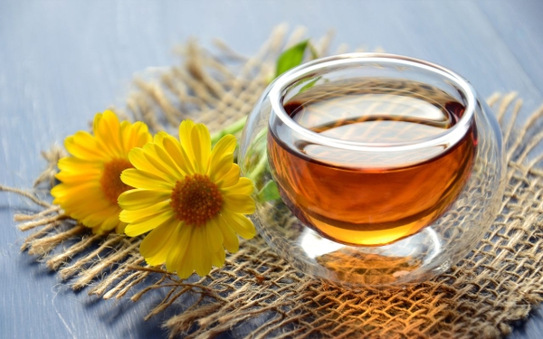 Trà Mát Gan Lợi Tiểu Giúp Cải Thiện Sức Khỏe Thận Như Thế Nào? Hiểu Đúng Trước Khi Dùng