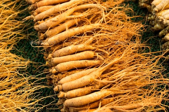 GIÁ NHÂN SÂM BAO NHIÊU? NHỮNG ĐIỀU CẦN BIẾT TRƯỚC KHI MUA