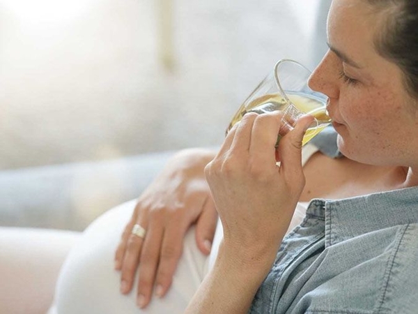 BÀ BẦU UỐNG TRÀ HỒNG SÂM ĐƯỢC KHÔNG?