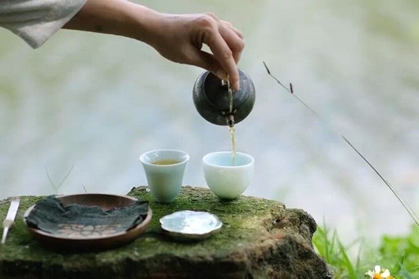 Trà Thanh Nhiệt Giải Độc Đẹp Da Có Hiệu Quả Không? Góc Nhìn Khách Quan Cần Biết