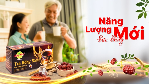 TĂNG CƯỜNG SINH LỰC NAM GIỚI – GIẢI PHÁP BỀN VỮNG CHO SỨC KHỎE & PHONG ĐỘ