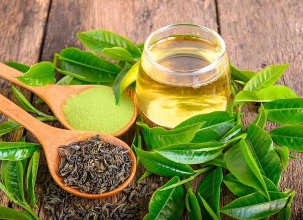Trà Ổi Có Lợi Ích Gì? 5 Điểm Đáng Chú Ý Khi Bạn Quan Tâm Đến Loại Trà Này