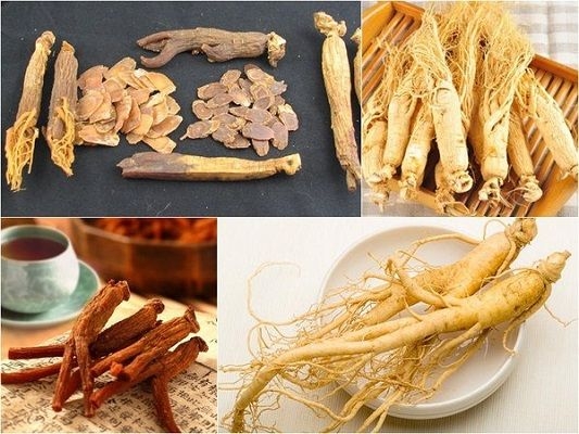 GIÁ TRÀ HỒNG SÂM HÀN QUỐC – THỊ TRƯỜNG HIỆN NAY
